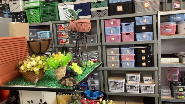 vlcsnap-2023-03-22-16h46m52s567