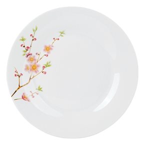 Plato de mesa en porcelana 23cm