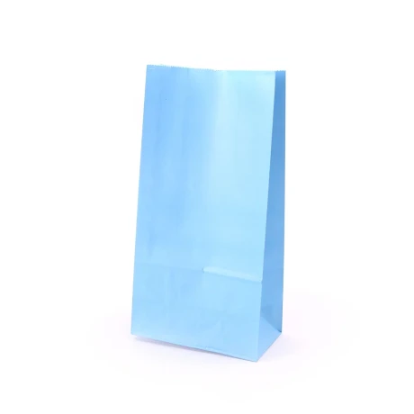 Bolsa papel s/asa chica x10uni.