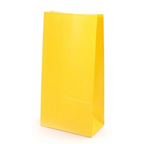 Bolsa de papel grande x10uni.