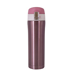 Botella Térmica Mobby 450ml
